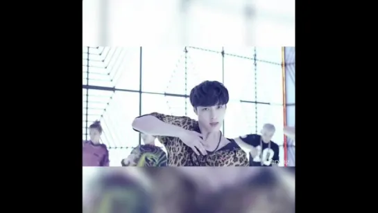 exo lay