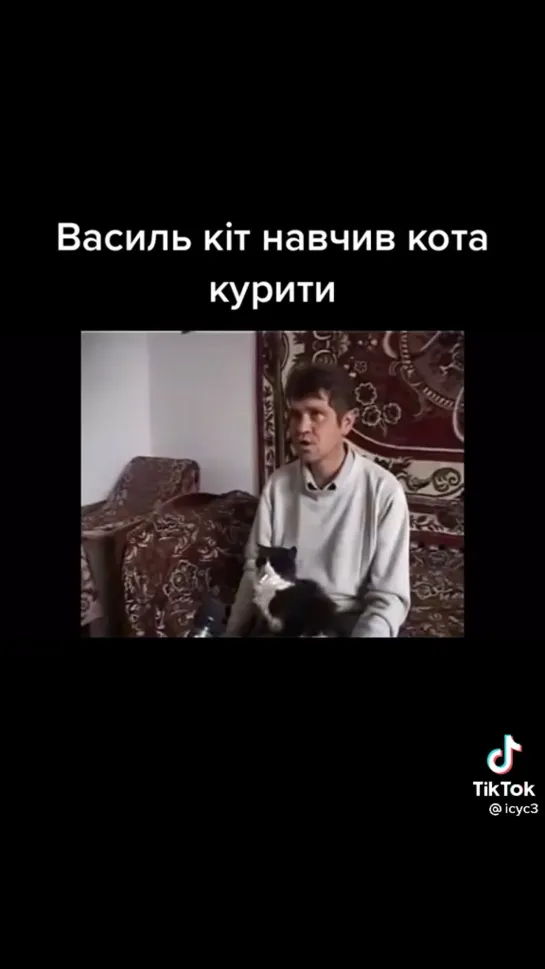 Курящии кот