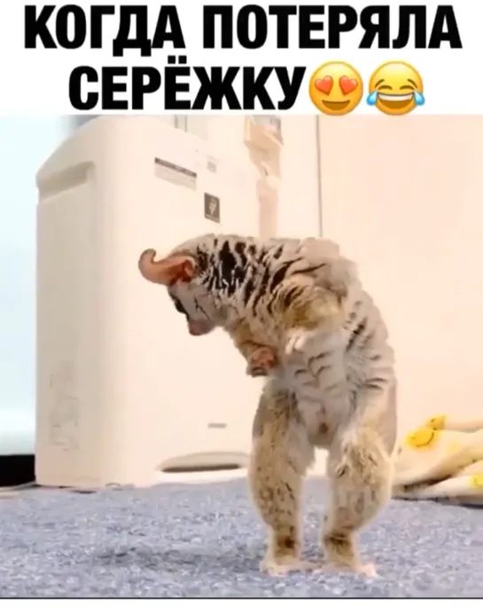 Когда потерял сережку