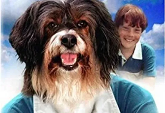 Гав! / Woof!, (1989–1997 На китайском ) серия 33