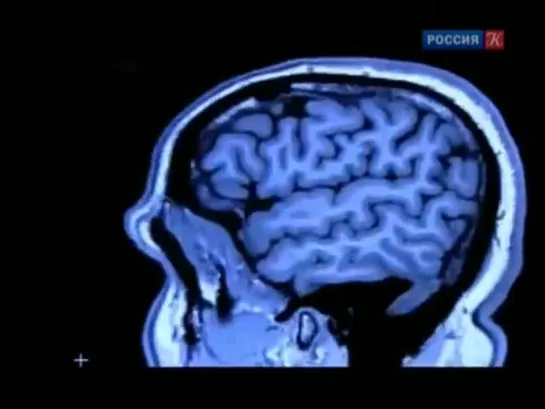 ВСПОМНИТЬ ВСЕ. ГОЛОГРАММА ПАМЯТИ ( Черниговская Т В 18.02.2015 )