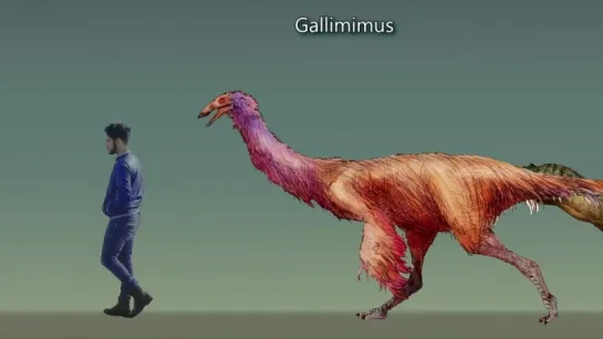 Mario Lanzas -DINOSAUR Size Comparison. PaleoartDINOSAUR Size Comparison. Paleoart