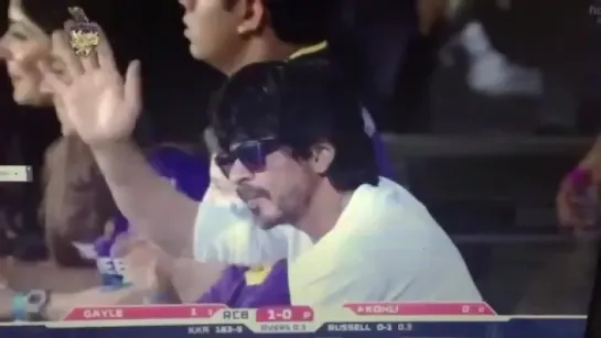 Our King Shah Rukh Khan @iamsrk is waving to the crowds at Eden tonight #KKRvsRCB #AmiKKR #KKR ~