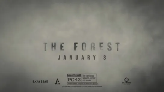 The Forest