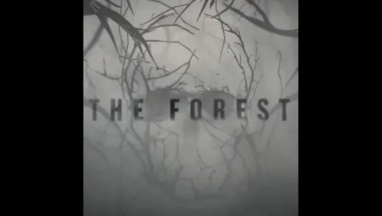 the forest