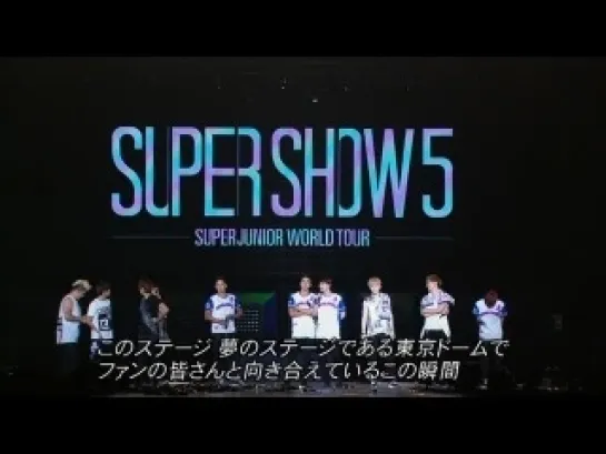 Super Junior - SS5 in TOKYO DOME p7