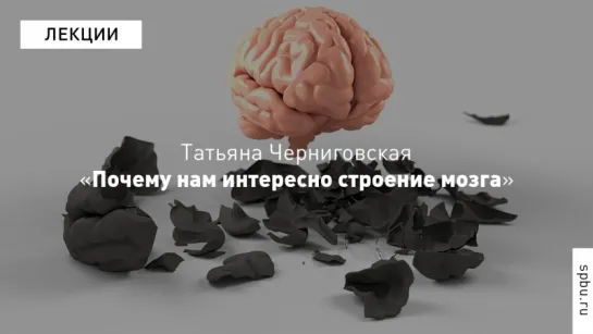 Science Slam: Татьяна Черниговская о том, почему нам интересно строение мозга