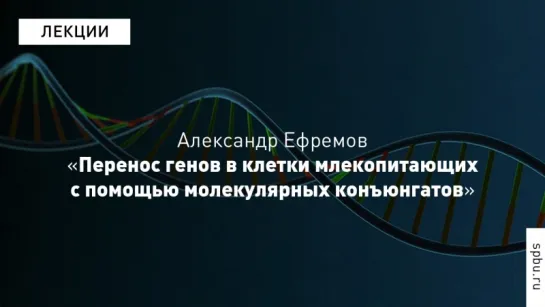 Science Slam: Александр Ефремов о генотерапии