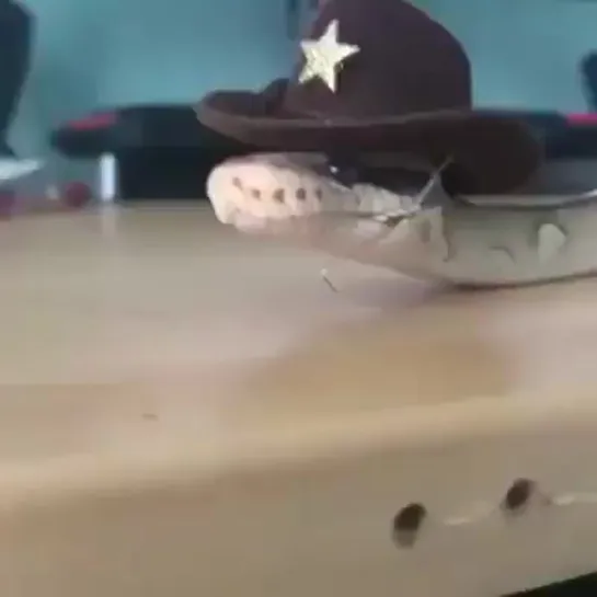 Howdy! Ur sheriff reporting for duteh!