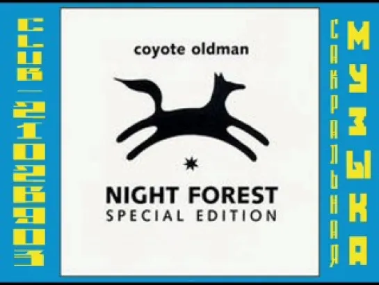 Coyote Oldman - Night Forest