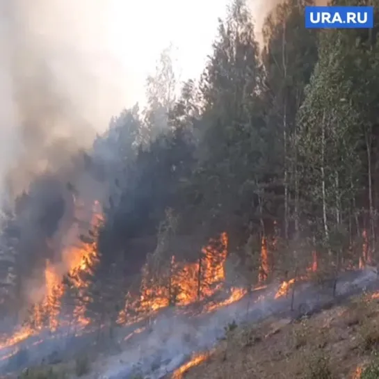 Трассу Пермь - Екатеринбург перекрыли из-за пожара