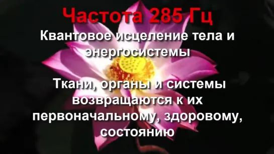 Звуковой массаж всех чакр - Чудо-Тона 174Гц, 285Гц, 396Гц, 417Гц, 528Гц, 639Гц