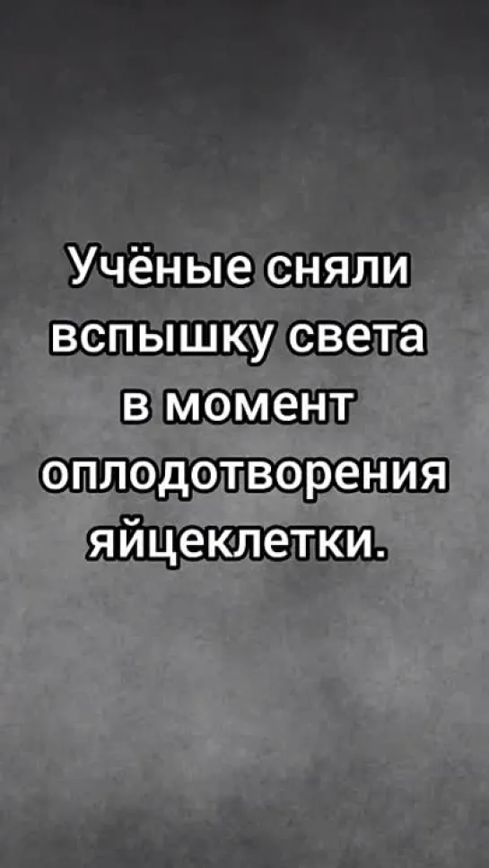 Видео от Дмитрий Москаленко. Азбука Великой Руси.