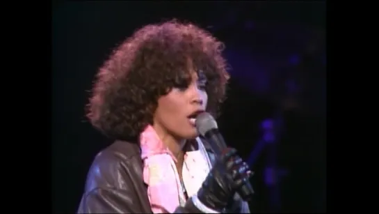 Whitney Houston-Didnt We Almost Have It All(1987)