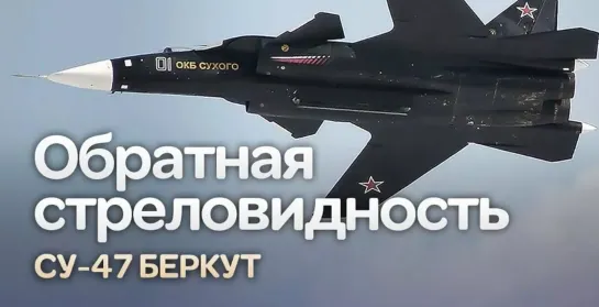 «Сухой Су-47 «Беркут». Крыло обратной стреловидности»