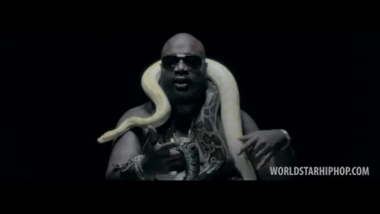 Rick Ross - Crocodile Python