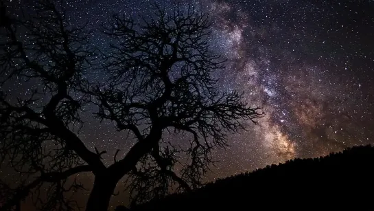 Wild Wyoming, A Summer of Sunsets   Dark Skies