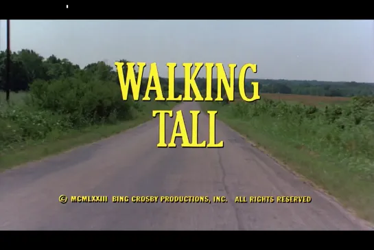 ᴴᴰ Широко шагая / Walking Tall (Фил Карлсон / Phil Karlson) [1973, США, боевик, криминал, драма] (RUS SUB)