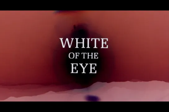 ᴴᴰ Закатив глаза / White of the Eye (Дональд Кэммелл / Donald Cammell) [1987, Великобритания, триллер, детектив]