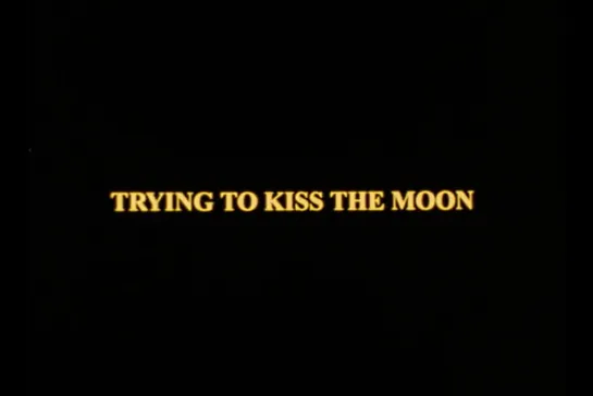 ᴴᴰ Trying to kiss the moon (Стивен Двоскин / Stephen Dwoskin) [1994, США, драма, экспериментальный] (RUS SUB)