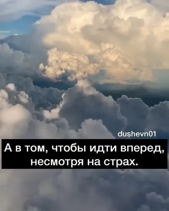 Смелость состоит не в том, чтобы не испытывать страха,а в том, чтобы идти вперед