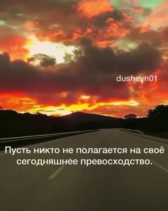 Когда поднимается вода, рыбы едят муравьёв,но когда вода уходит – муравьи едят рыб