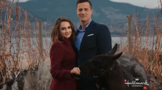 Valentine in the Vineyard  (Hallmark Channel 2019 US) (ENG)