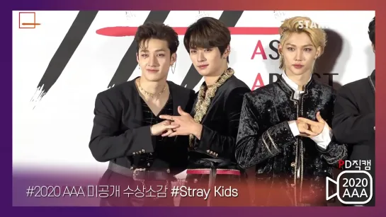 [201128] Stray Kids » Asia Artist Awards 2020 Red Carpet » STARNEWS