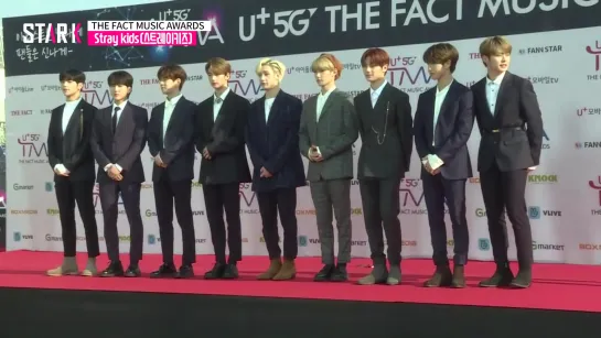 [190424] Stray Kids » Red Carpet » The Fact Music Awards