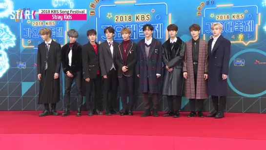 [181228] Stray Kids » Red Carpet » 2018 KBS Gayo Daechukje