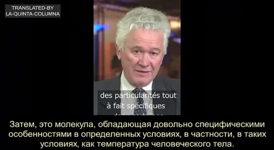 "Пища из насекомых частично состоит из оксида графена ..."