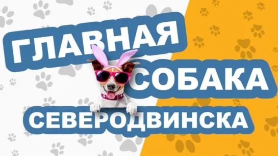 «ГЛАВНАЯ СОБАКА СЕВЕРОДВИНСКА» — выпуск 3