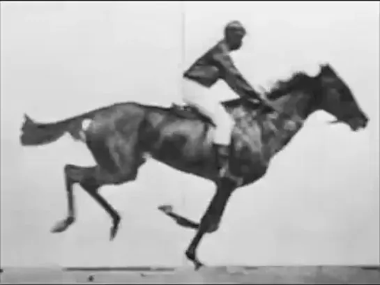 First Motion Picture Horse, 1878