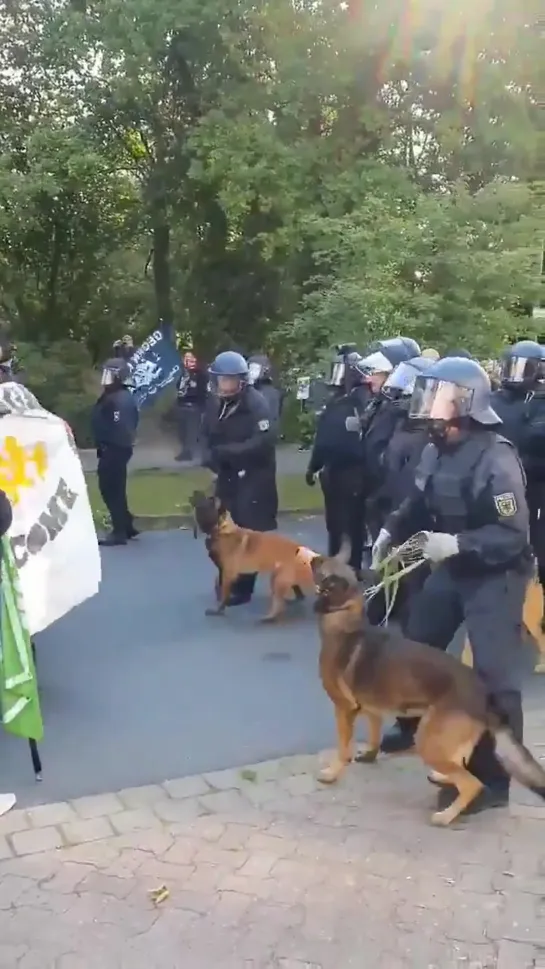 Немецкая полиция сегодня разогнала небольшой митинг оппозиции. Лукашенко, смотри, как надо.