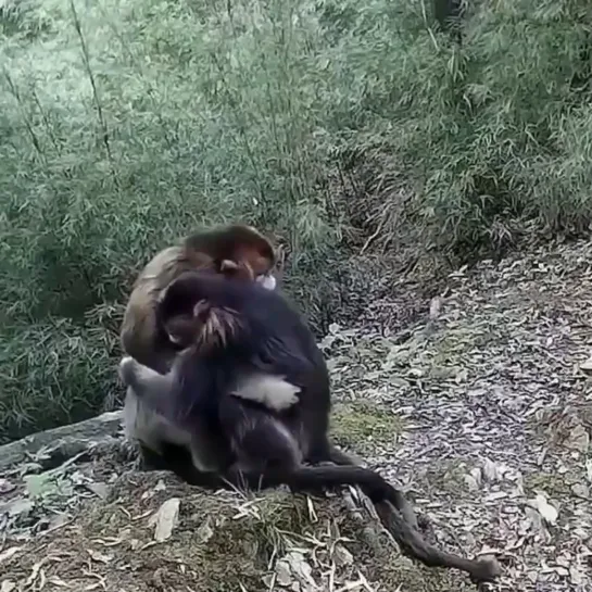 Видео от Взгляни на мир | путешествия, арт, фото, туризм