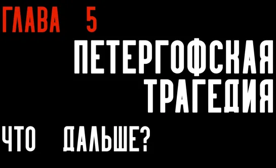 Глава 5. Петергофская трагедия. Что дальше?