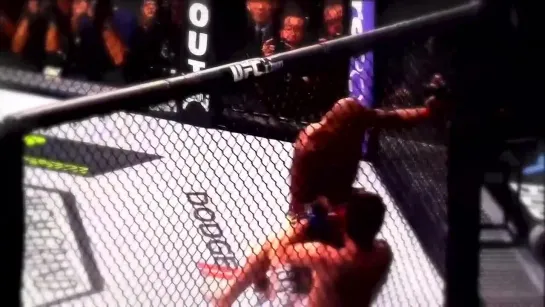 Anderson "The Spider" Silva