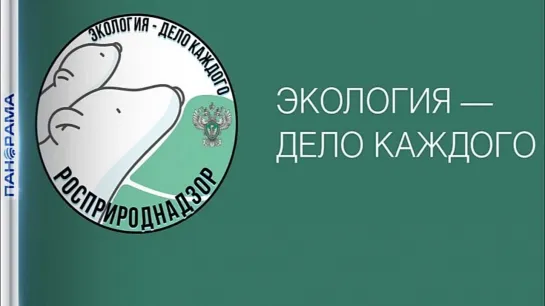 Донецкая школьница стала призёром детско-юношеской премии «Экология-дело каждого»