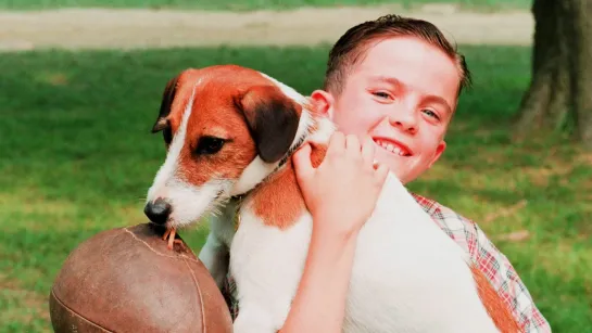 Мой пёс Скип / My Dog Skip (1999)