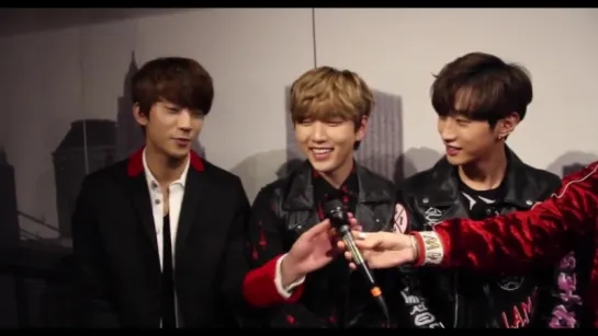 [INTERVIEW][160203] B1A4 @ "B1A4 ADVENTURE 2016" Interview in Helsinki