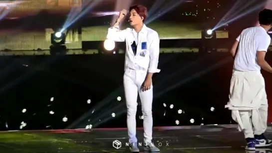 [FANCAM] 151010 #EXO @ Love Concert | EXO - Don't Go (Kai Focus)