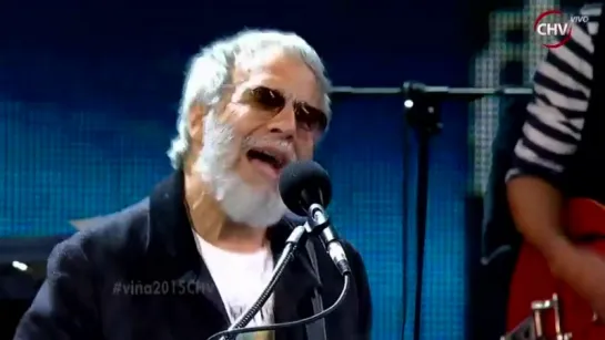 Yusuf Islam Cat Stevens, Festival de Viña del Mar 2015, Somos el Canal Histórico