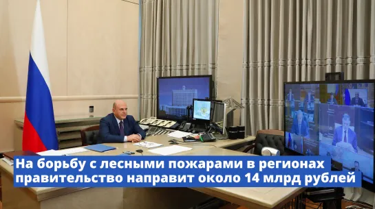 На борьбу с лесными пожарами в 2022 году регионам будет выделено около 14 млрд рублей