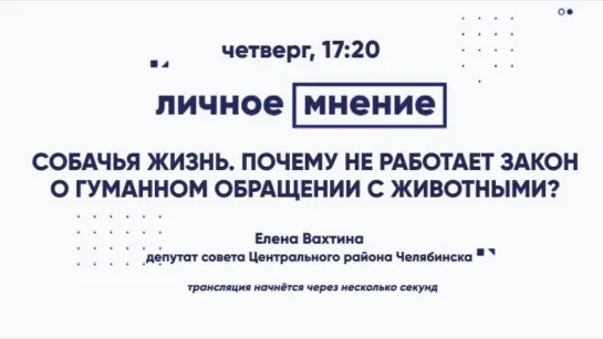 «Личное мнение»: Собачья жизнь. Почему не работает закон о гуманном обращении с животными?