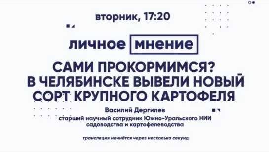 «Личное мнение»: Сами прокормимся? В Челябинске вывели новый сорт крупного картофеля