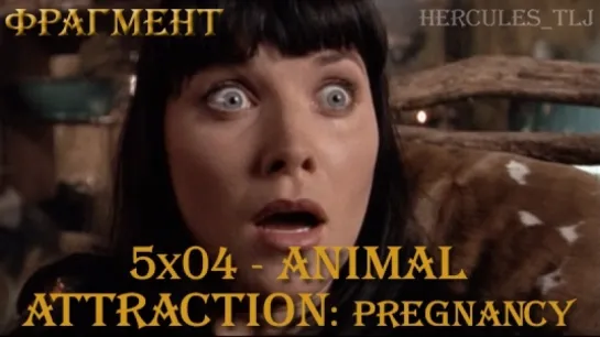 Фрагмент из 5x04 - Animal Attraction: about pregnancy