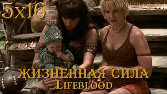 XWP, 5x16 - Жизненная сила | Lifeblood