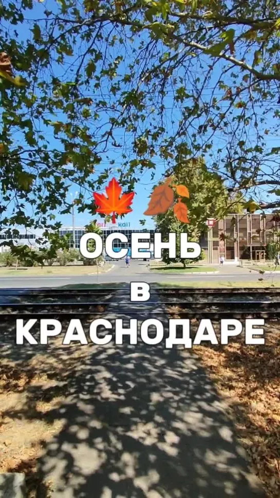 AlexTooRich_Vlog / Осенний Краснодар в Августе