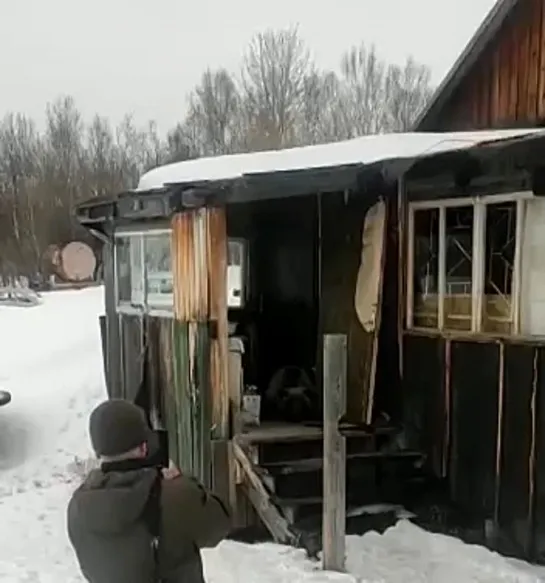 Медведь поселился в заброшенном доме на Камчатке