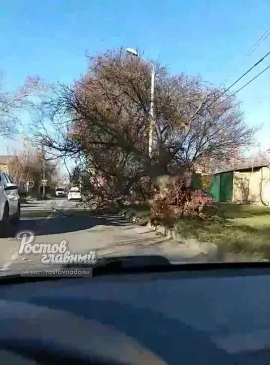 Грузовик сшиб дерево на 3й круговой 15.11.2019 Ростов-на-Дону Главный